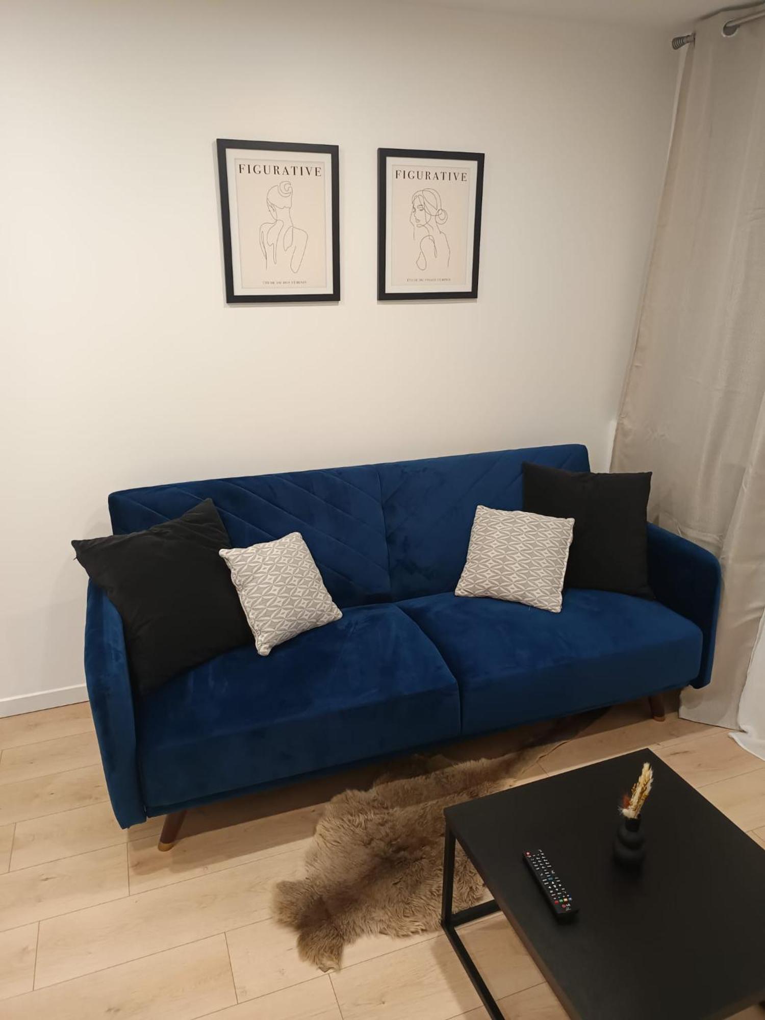 Superbe Appartement ! Saint-Etienne  Exterior photo